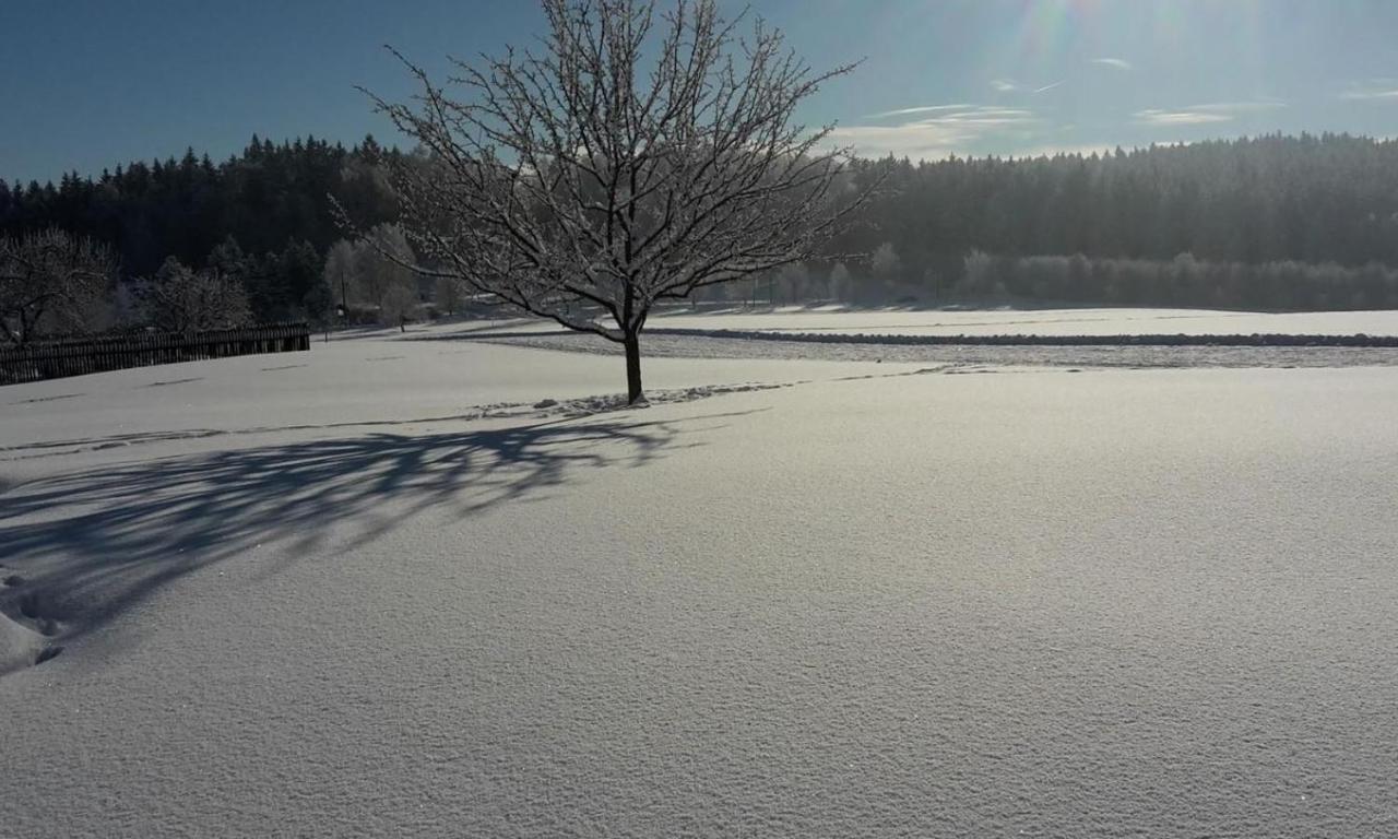 Chata Rozany Šluknov Exteriör bild